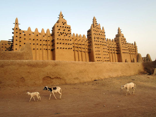 Is This the Simplest Anti-Theft Solution for Travelers in West Africa?