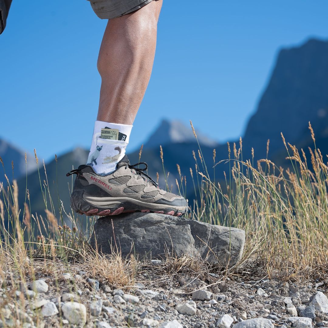 Hikers