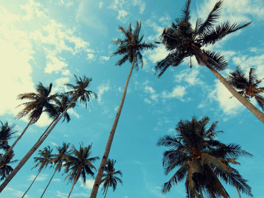 The Essential Guide to Choosing Summer Socks